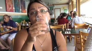 США 431: американский морской лев ревел на гостей из Казахстана - документальные кадры