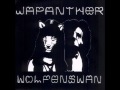 Japanther - Selfish Kids