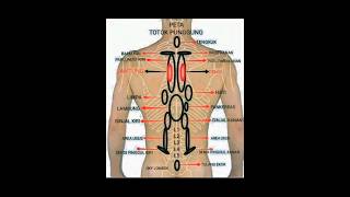 Download lagu Apa itu Topung (Totok punggung)..? #terapi #topung #totokpunggung #lampung #lampung_utara #rstn mp3