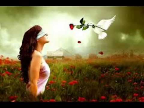 Aadare Sihinayai Jeevithe (ආදරේ සිහිනයයි ජීවිතේ) - Nelu Adhikari