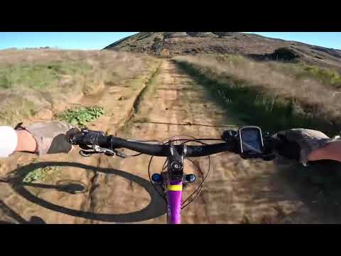 Canfield Yelli Screamy Fast is Fun!