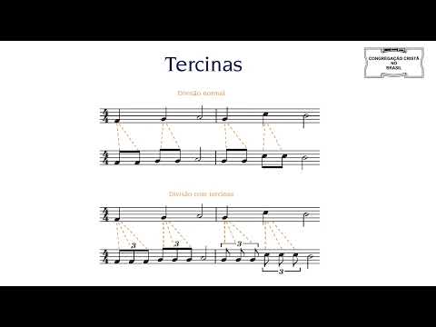 CCB - MSA -  FASE 5 - ITEM 5.1 Tercinas