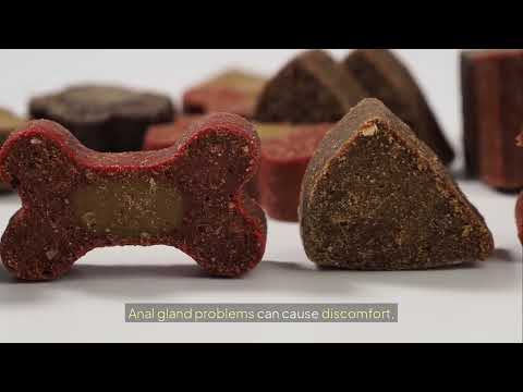 Best High-Fiber Dog Food for Anal Gland Issues — A Comprehensive Guide