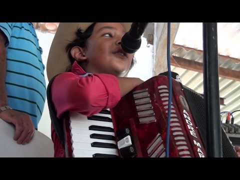 Sanfoneiro prodígio André Marcos 7 anos