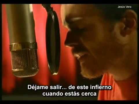 Damien Rice - Rootless Tree (Subtitulado en español)