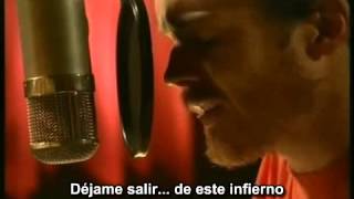 Damien Rice - Rootless Tree (Subtitulado en español)