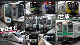 【車種が豊富！】夕方の仙台駅 発着シーン
