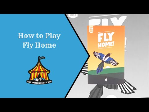 Fly Home - Board Game - How to Play Video