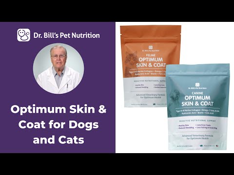 Optimum Skin & Coat | Supplement for Dogs & Cats | Dr. Bill's Pet Nutrition