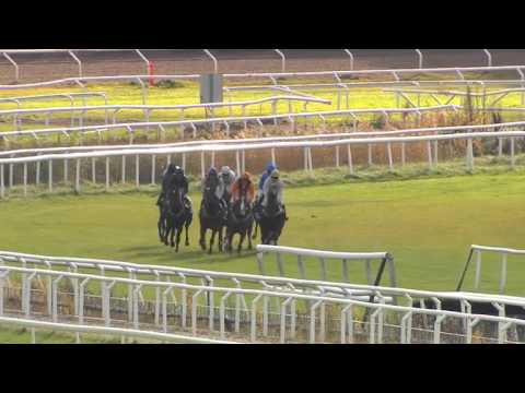 2015.10.18 Ormus Häcklöpning (SWE) - Omoto Sando