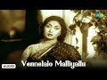 Vennelalo Malliyallu Audio Song Manushulu Mamathalu T Chalapathi Rao P Susheela