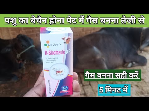 Oral r. bloatasule xp - homoeopathy veterinary medicine, for...