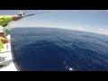 Catching Chicken Dolphin on a Weed Line (pt. 1 ...
