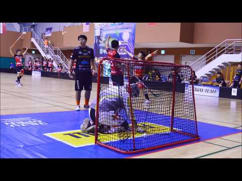 2017 JEJU ISLAND FLOORBALL OPEN (1~4, Sep.)