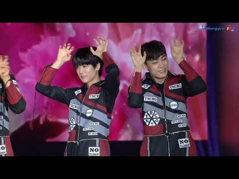 KMF TRCNG Flower Carpet 180801