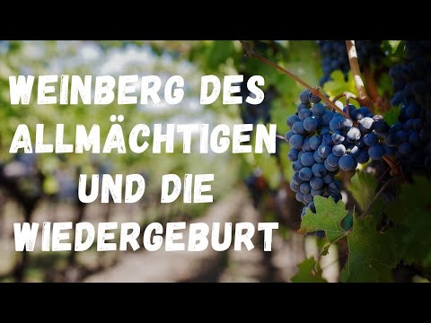 Die Wiedergeburt die Jeshua gepredigt und die der Allmächtige uns versprochen hat!