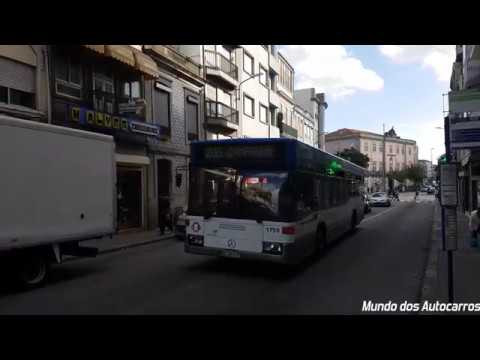 Mundo dos Autocarros - STCP 1750