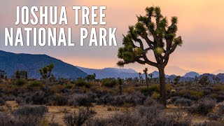 15 Places to Explore in Joshua Tree National Park