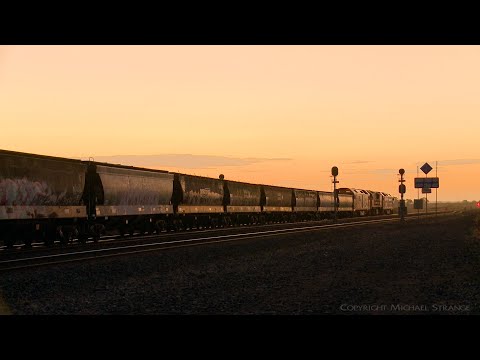 9727V Pacific National Grain Hopper Transfer (2/3/2022) - PoathTV Australian Trains & Railways