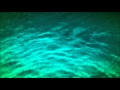 B.o.B Ft. Chris Brown -- Throwback (Download + ...