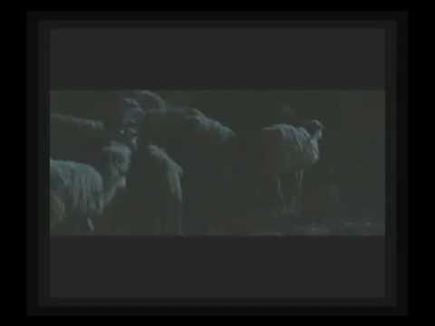 Film Narození a smrt Ježíše Krista