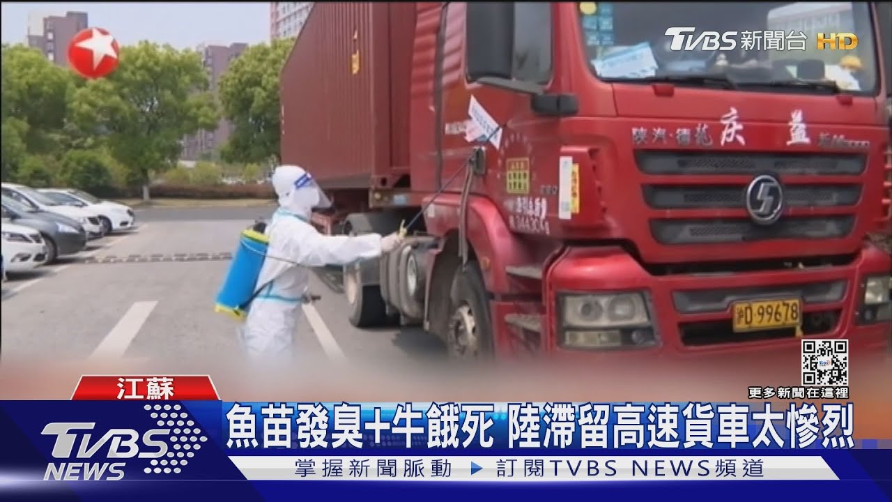 魚苗發臭+牛餓死 陸滯留高速貨車太慘烈