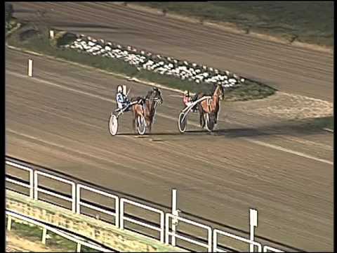 Trotto 19/01/2016 - prova di qualifica