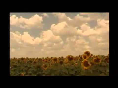 Starterass   Patrioti za Bulgaria