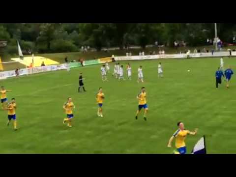 SWFV-Pokalfinale 2016  SC Hauenstein - Schott Mainz   2:1