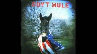 Gov't Mule - Gov't Mule (album)