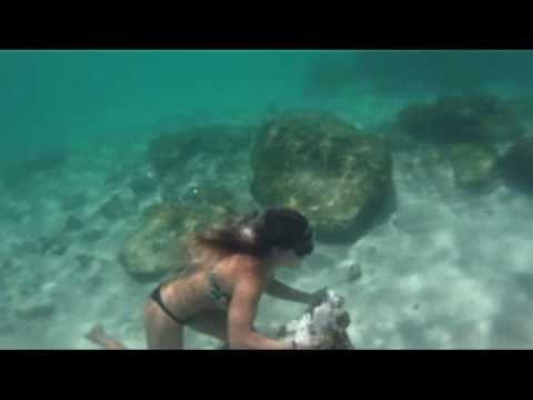 running with fish with Claire Bevilacqua GoPro HD hero camera