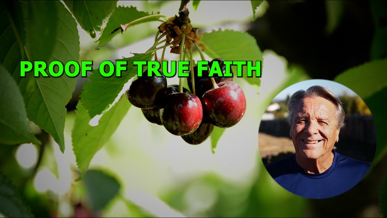 Proof of True Faith