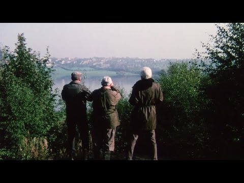 Review 34th Year No. 7 (1981)