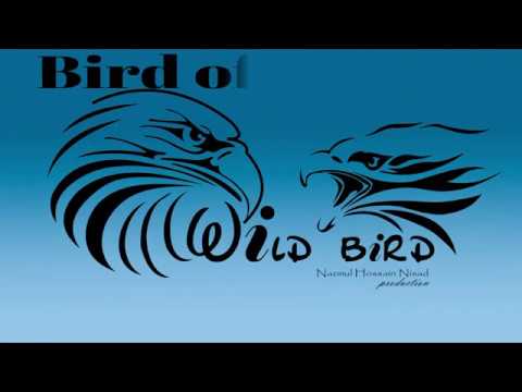Wild Bird | Tetulia | A Wildlife documentary by Nazmul Hossain Nisad