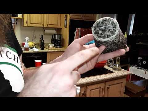 Root Bound Seedlings: the what, the why, the how