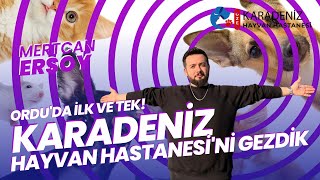 ORDU'da Modern Hayvan Hastanesi