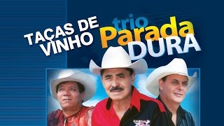 Taças De Vinho Lyrics English Translation