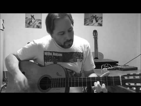Bandera - Instrumental - Willie Nelson cover