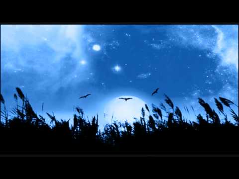 Best of al Ghamidi suratul Israa