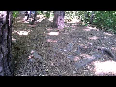 Mountain Biking Piatra Neamt 2