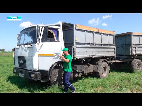 Республиканский проект "Молодежь за урожай" стартует 12 июля видео