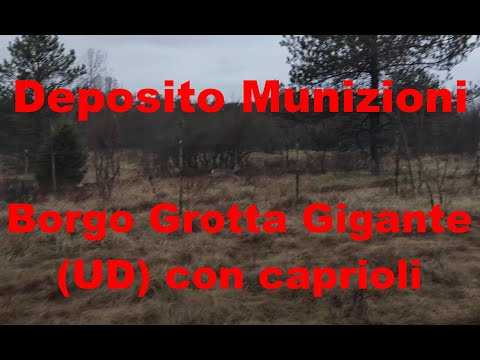Deposito munizioni - Borgo grotta Gigante (TS) con caprioli