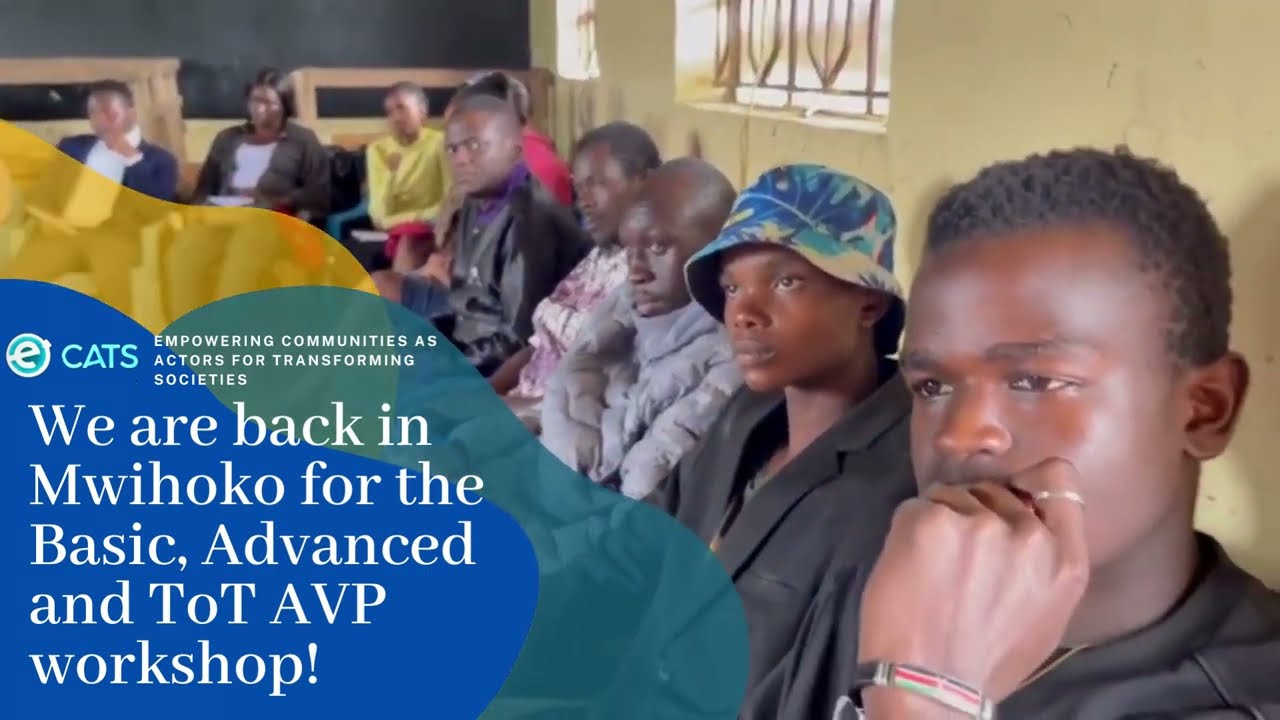 Exploring the AVP Philosophy