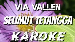 Download lagu KAROKE | VIA VALLEN - SELIMUT TETANGGA mp3