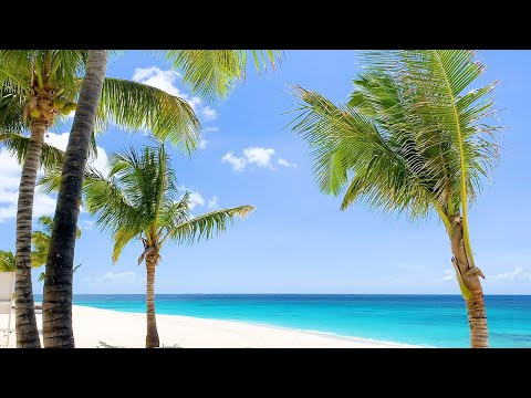 Relaxing Day of Caribbean Palms & Waves: 4K 1 Hour White Sand Beach Video with Stormy Sunset