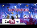 Cat TV | 🦋 Tranquil Butterflies and Serene Music – A Gentle Retreat for Cats 🐱 | Relax my cat