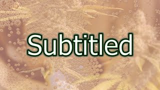 Champagne and Reefer - Muddy Waters (1982) subtitled