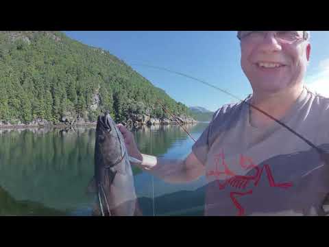 Angeln Angvik,Raudsand Norwegen 2022