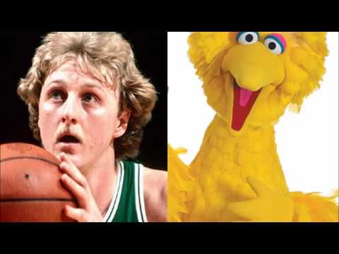 Larry Bird vs Big Bird