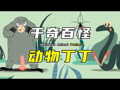 狼的生殖器